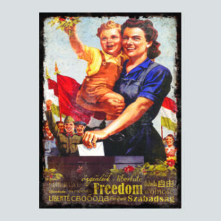 Freedom FM-0064