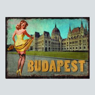 Parliament Pin Up FM-0082