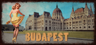 Parliament pin up - Image 2