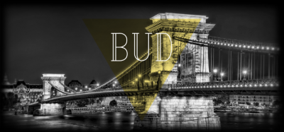 Chain bridge by night BW - Image 2