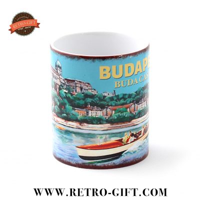 Buda Castle and motor boat