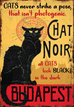 Fekete macska Budapest